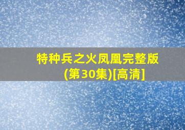 特种兵之火凤凰完整版(第30集)[高清]